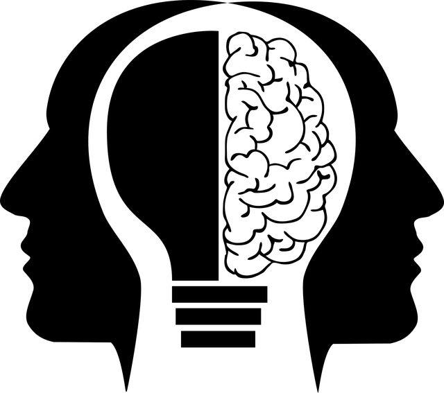 cerveau psychiatrie