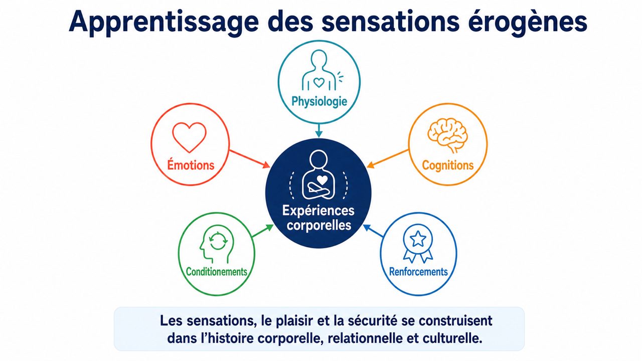 Schéma des apprentissages des sensations érogènes : physiologie, émotions, cognitions, conditionnements et renforcements autour des expériences corporelles.