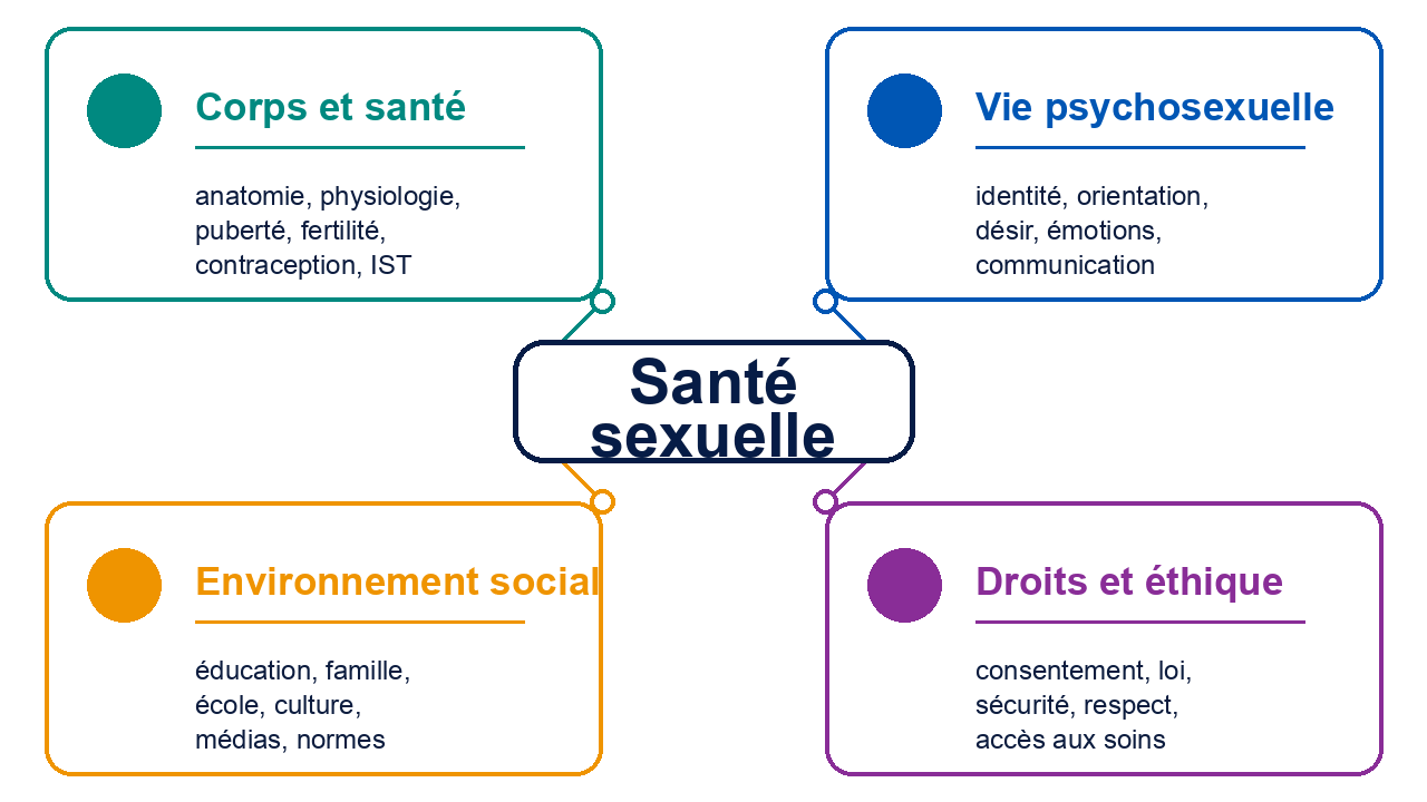 Schéma des déterminants de la santé sexuelle : corps et santé, vie psychosexuelle, environnement social, droits et éthique.