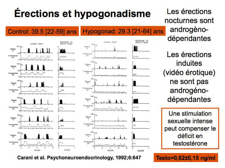 erections et hypogonadisme