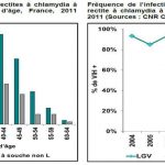 Evolution lymphogranulomatose vénérienne (LGV)