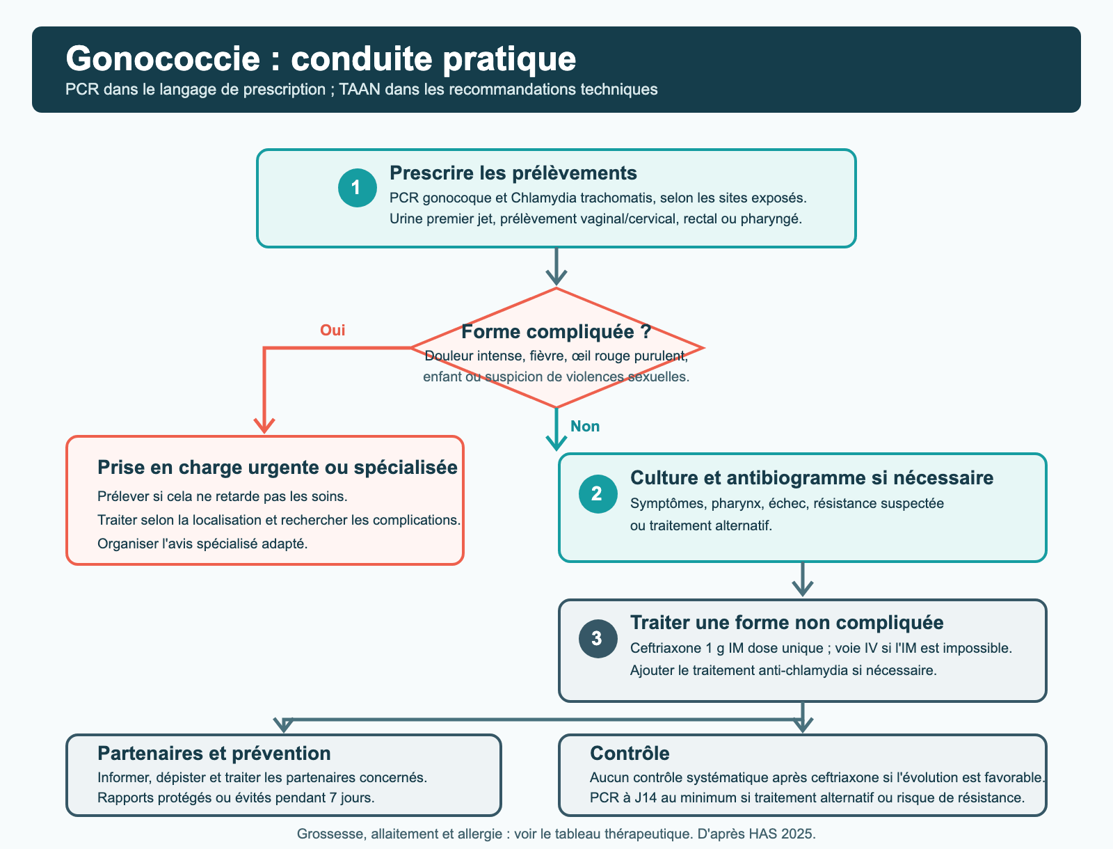 Organigramme de conduite pratique devant une gonococcie : prélèvements, identification des formes compliquées, traitement, partenaires et contrôle.