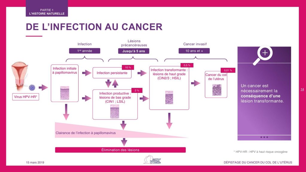 Schéma INCa montrant l’évolution d’une infection par HPV à haut risque vers une infection persistante, des lésions précancéreuses puis un cancer du col de l’utérus.