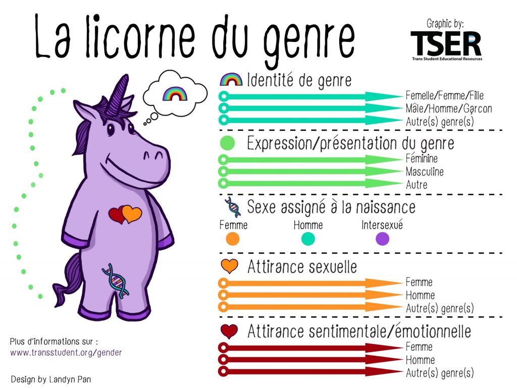 Licorne du genre : identité de genre, expression de genre, sexe assigné à la naissance, attirance physique et attirance émotionnelle
