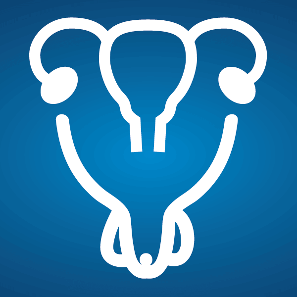 logo_sxblg