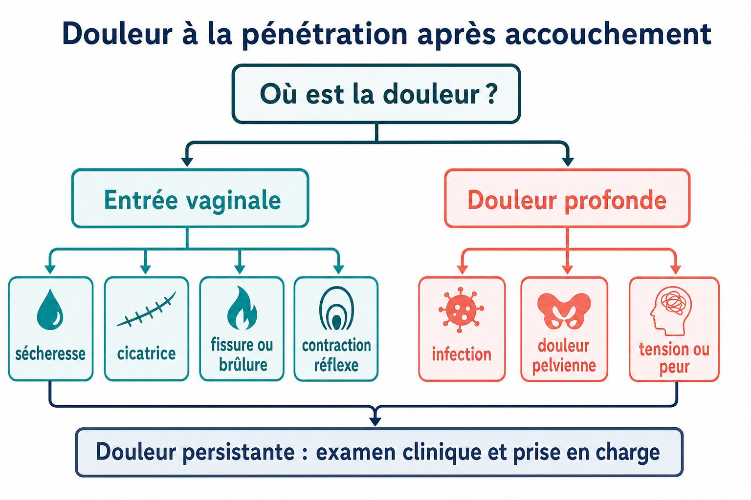 Arbre d’orientation des douleurs à la pénétration après accouchement : entrée vaginale, douleur profonde, sécheresse, cicatrice, infection, douleur pelvienne.