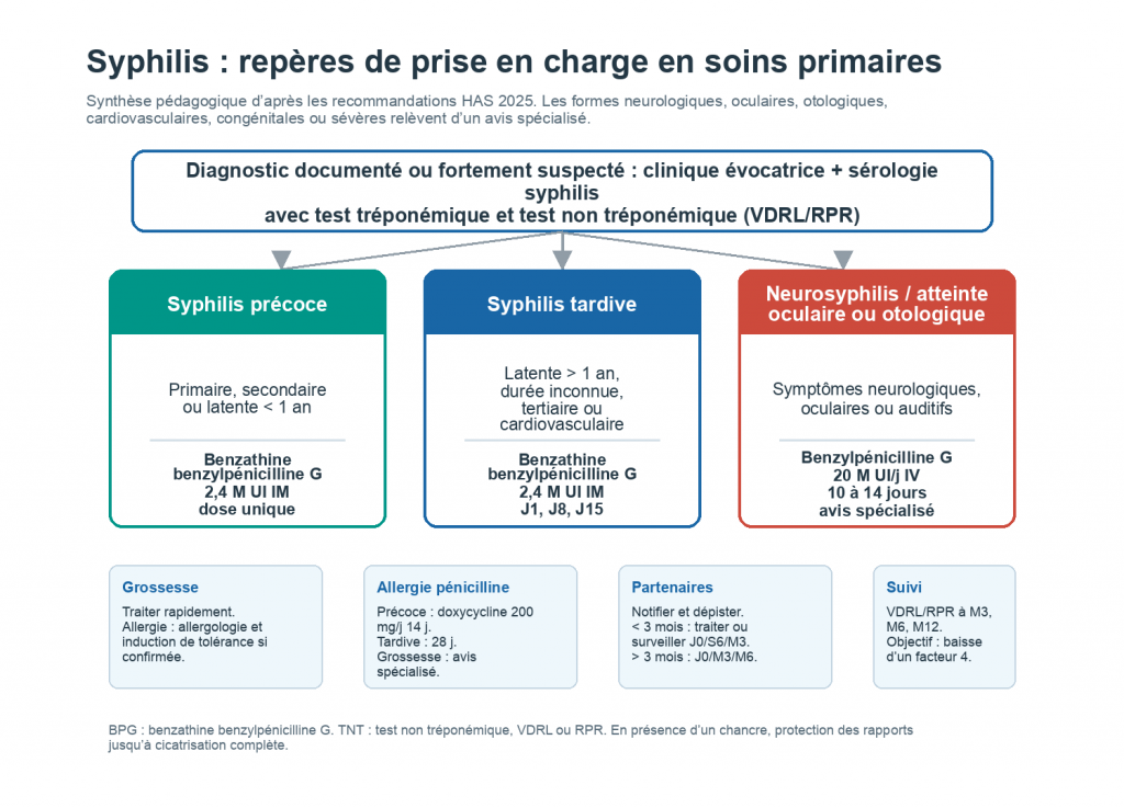 Organigramme de prise en charge de la syphilis selon les recommandations HAS 2025