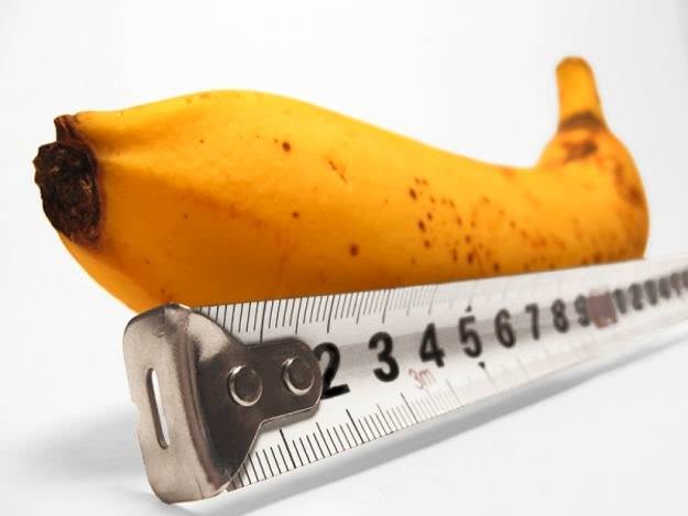 taille-penis-sexe