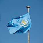 World Health Organization Flag